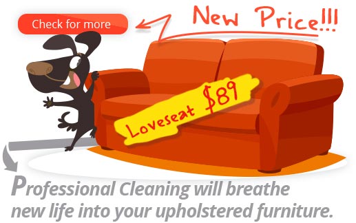 Professional Upholstery Cleaning